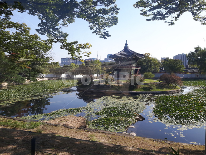 경복궁,화원,연못,한국,왕실