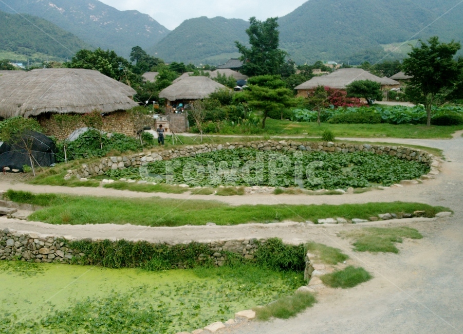 해미읍성,읍성,한국전통,한옥,초가집,시골,마을,풍경,landscape,country,rural,town,한국전통,한국문화,korean traditional,korean culture