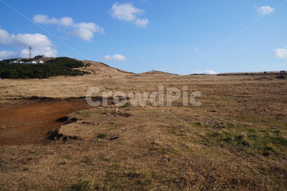 제주도,우도,하늘,겨울,고지대,산책,걷기,트래킹,자연,풍경,nature,landscape,제주도,jeju,jeju island,outdoors,옥외,ground,바닥,grassland,목초지,field,들,slope,경사