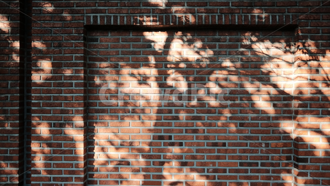 벽돌,벽,자연,그림자,빛,나무,brick,wall