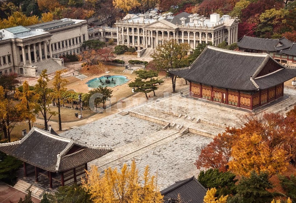 덕수궁,가을,자연,traditional,korea,한국전통,한국문화,korean traditional,korean culture
