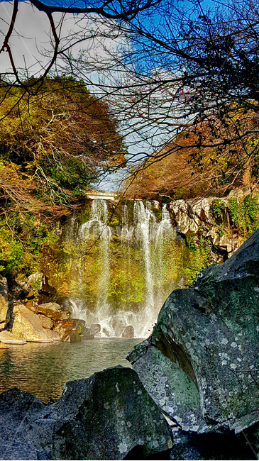 천제연,자연,nature,water,물,자연,풍경,nature,landscape