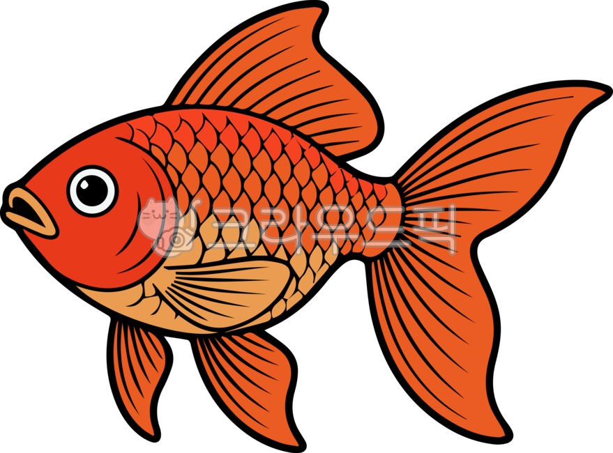 금붕어,goldfish,물고기,생선,fish,관상,관상어,관상용,관상용물고기,일러스트,컬러,붕어,붉은붕어,동물,aniaml,어류,금어,애완동물