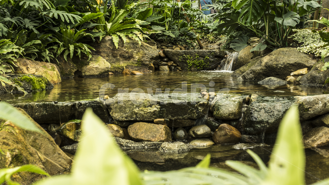 자연,식물,물,시냇물,감성,자연,풍경,nature,landscape,water,outdoors,옥외