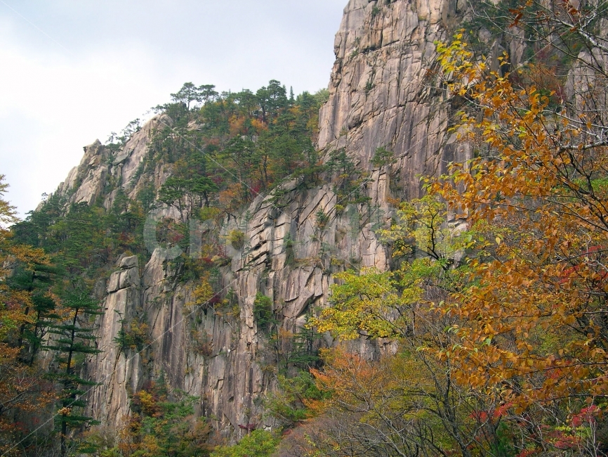 설악산,단풍,산,가을,국립공원,자연,풍경,자연,풍경,nature,landscape,가을,계절,fall,autumn,season,outdoors,옥외,cliff,낭떠러지
