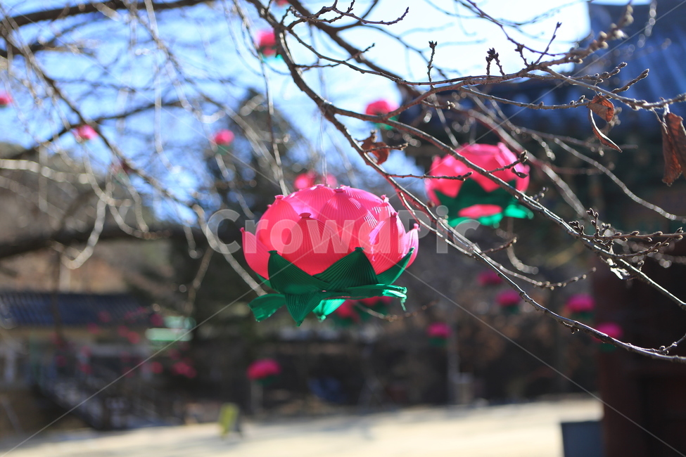 돌탑,사찰,소원,연등,불교,석가탄신일,초파일,종교,신앙,religion,belief,faith,축제,행사,festival,carnival,event