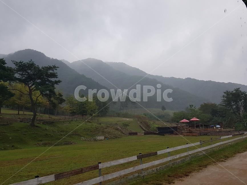 nature,자연,outdoors,옥외,동물,여유,가을,자연,풍경,nature,landscape