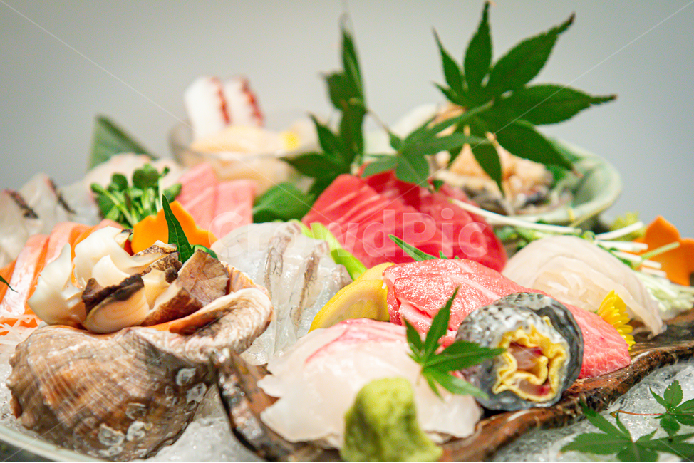 회,연어,참치,모듬회,소라,음식,식재료,요리,food,cook,meal,dishes,food reserves,일식,일본음식,일본요리,Japanese food,Japanese dishes,Japanese meal,Japanese cook