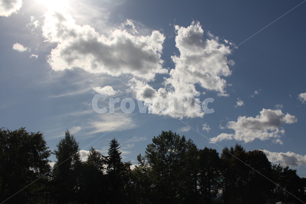 구름,햇빛,일본,삿포로,풍경,자연,풍경,nature,landscape,outdoors,옥외,weather,날씨