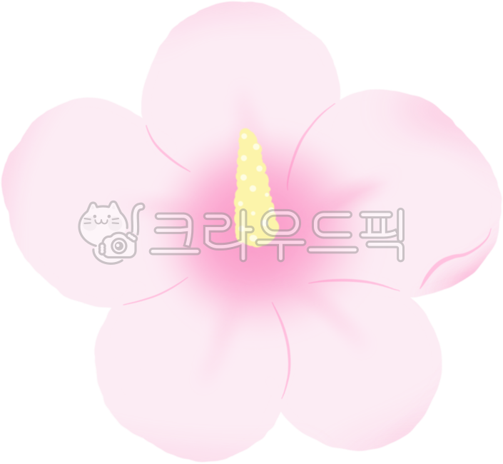 무궁화일러스트,우리나라꽃,무궁화삼천리,대한민국,나라꽃,분홍꽃,삼일절,독립만세,한송이,꽃송이,애국심,flower,꽃,petal,꽃잎