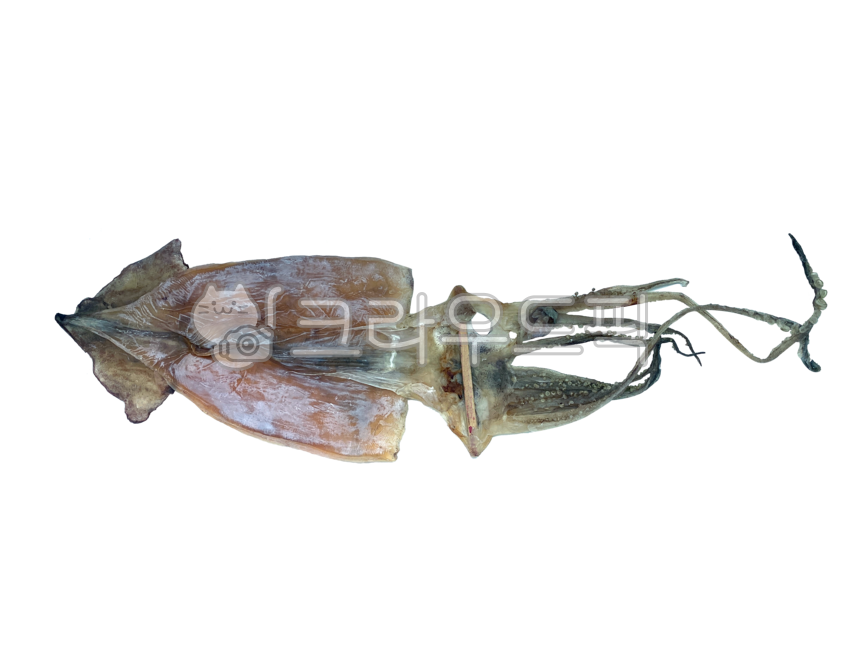 오징어,마른오징어,건오징어,배경,투명배경,png,누끼,수산물,음식,특산품,지역특산품,건어물,driedsquid,background,transparentbackground,squid,aquaticproducts,food,specialties,regionalspecialties,driedfish