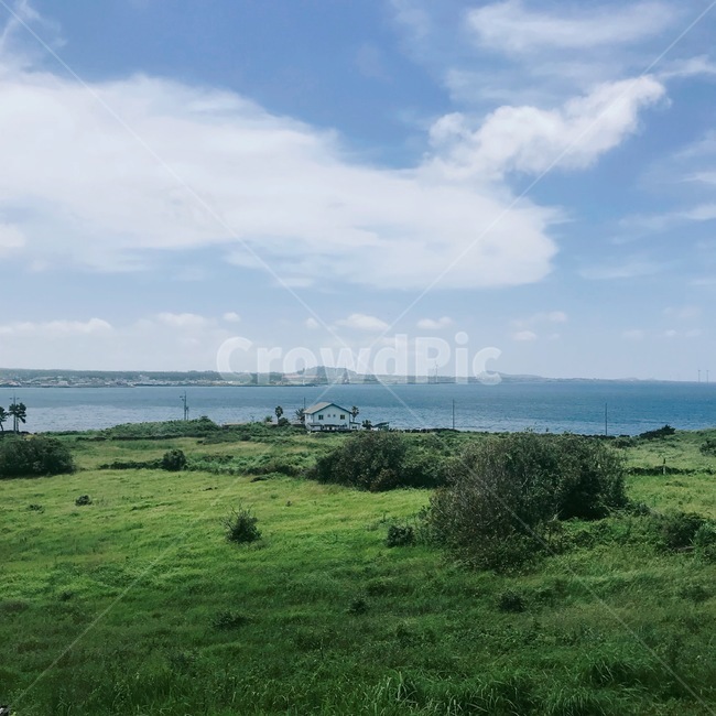풍경,제주,여름,자연,비양도,협재,바다,다리,하늘,하트,구름,감성,자연,풍경,nature,landscape,outdoors,옥외,field,들,grassland,목초지,plant,식물,grass,잔디