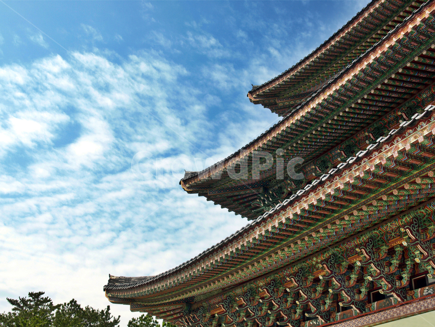 처마,약천사,불교사찰,올레8코스,제주,서귀포시,푸른하늘,한국전통,한국문화,korean traditional,korean culture,건축물,건물외관,exterior,building,structure,architecture,construction