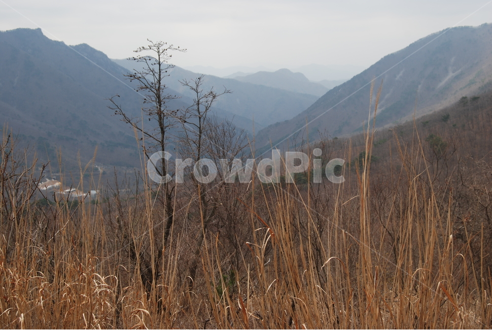 문복산,영남알프스,자연의위대함,등산로,능선,아름다움,신비스런산,돌,산행,힐링,자연,감성,등산,계절,여행,한국,한국명산,한국등산,풍경,눈,나무,하늘,바람,바람소리,환경,생태계,산,땅,자연,풍경,nature,landscape,한국자연풍경,한국자연경관,korea nature landscape,plant,식물,grass,잔디,outdoors,옥외,mountain range,산맥,mountain