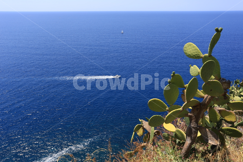 이태리,이탈리아,친퀘테레,유럽,바다,배,보트,cinqueterre,italy