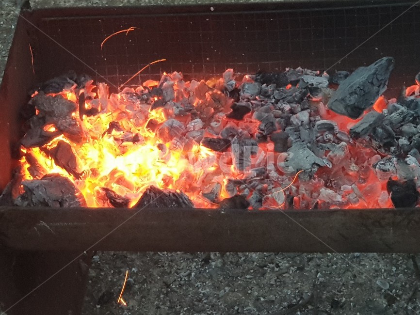 불,불꽃,연탄,fire,타는
