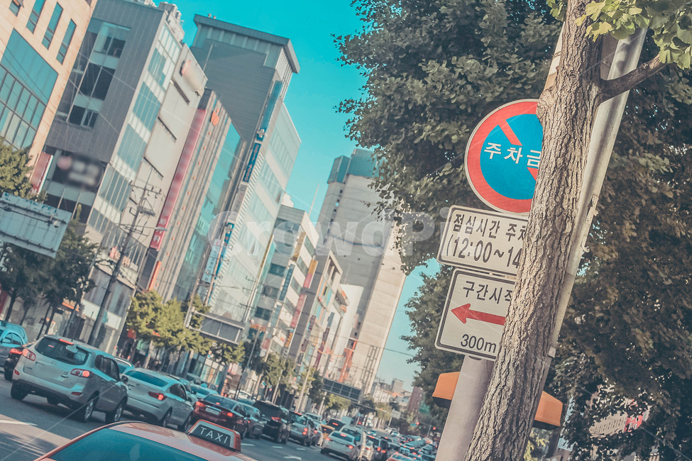 도로,강남,표지판,gangnam,rushhour
