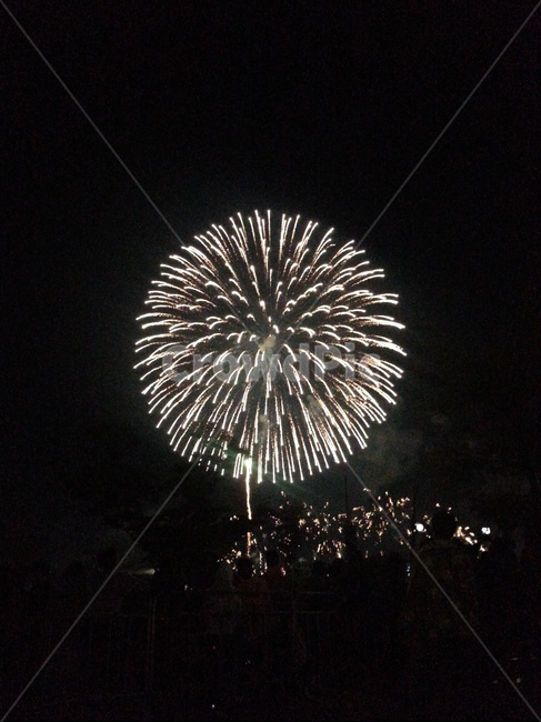 불꽃,불꽃축제,밤,firework,폭죽,야경,야경,밤,풍경,nightscape,night,landscape,축제,행사,festival,carnival,event,nature,자연,outdoors,옥외