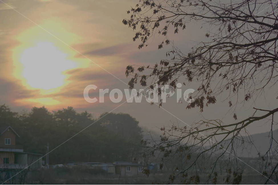 노을,일몰,가을,나뭇잎,감성,해,sunset,sun,나무,나뭇가지,자연,풍경,nature,landscape,outdoors,옥외,weather,날씨