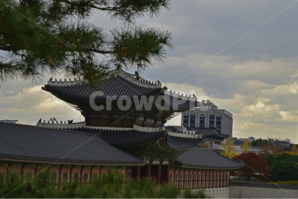 경복궁,gyeongbokgungpalace,문화재,사적,유적,궁궐,정궁,북궐,한국전통,한국문화,korean traditional,korean culture,랜드마크,landmark,tourist attraction,한국랜드마크,한국관광지,한국명소,korea landmark,korea tourist attraction,건축물,건물외관,exterior,building,structure,architecture,construction