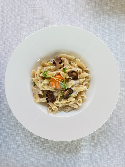 음식,요리,파스타,pasta,food,음식,식재료,요리,food,cook,meal,dishes,food reserves,양식,서양음식,서양요리,western food,western dishes,western meal,western cook