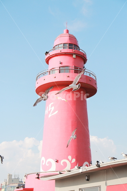 오이도,등대,갈매기,오이도등대,lighthouse,등대,lighthouse