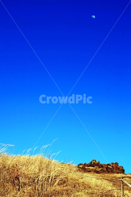 제주도,일몰,갈대,제주도갈대,쓸쓸함,가을,계절,fall,autumn,season,자연,풍경,nature,landscape,plant,식물