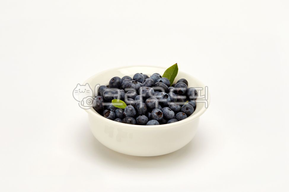 열매,농작물,농업,디저트,먹거리,식자재,야채,crops,agriculture,plants,desserts,ingredients,vegetables,블루베리,blueberry,식물,plant,과일,fruit,food,음식,과일,열매,fruit