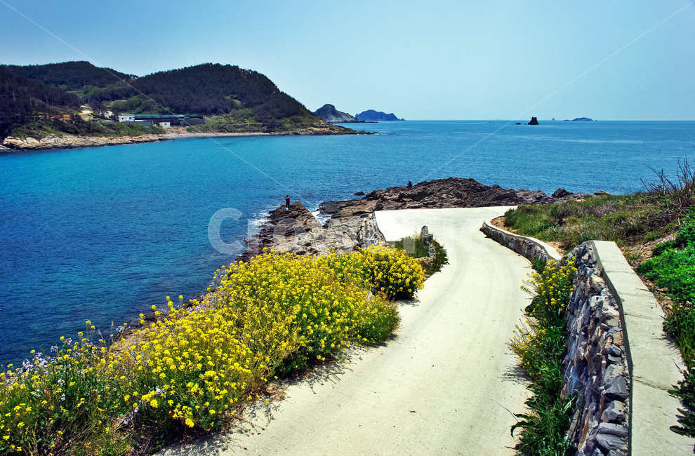 추자도,하추자도,제주도,섬,올레181코스,바다,야생화,제주도,jeju,jeju island,promontory,곶