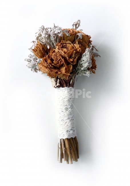 말린부케,드라이플라워,말린꽃,부케,꽃다발,꽃,소품,prop,object,dryflower,bouquet,whitebackground,decoration,dryplant,race,event,기념일,축하,anniversary,congratulation,celebrate,celebration,사물,물건,오브젝트,thing,object,matter,연출,컨셉,콘셉,direction,concept,누끼,remove background