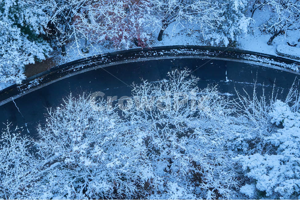 눈,도로,겨울,숲,설경,상고대,겨울,계절,winter,season
