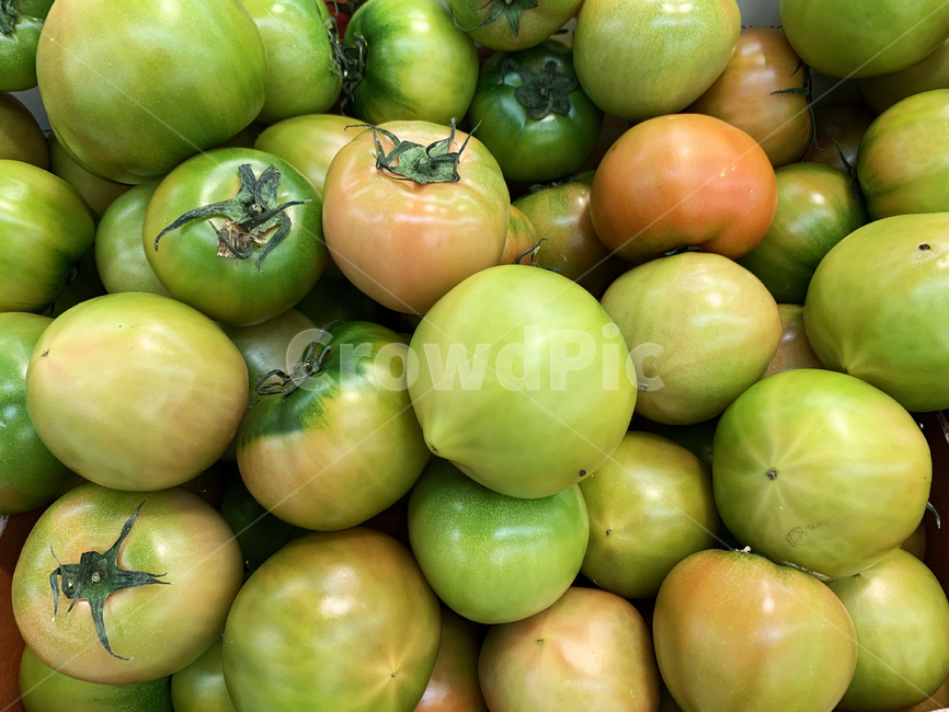 토마토,초록색,주황색,채소,마트,음식,식재료,요리,food,cook,meal,dishes,food reserves,채소,야채,vegetables