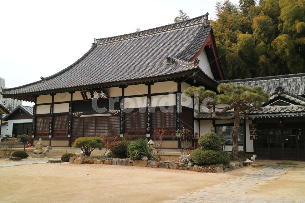 동국사,군산,군산동국사,절,한국명소,명소,역사,관광,관광명소,한국전통,전통,건축물,건물외관,exterior,building,structure,architecture,construction