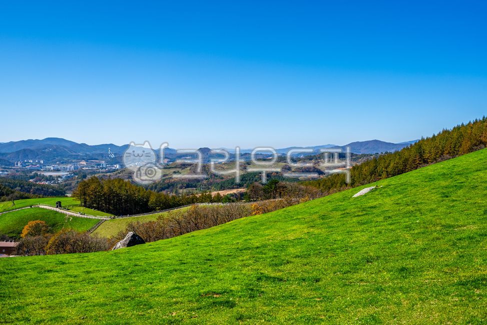 Daegwallyeong,Daegwallyeong Sheep Ranch,Sheep Ranch,Grassland,Pasture,Ranch,Meadow,Nature,Background,Landscape,Korean Natural Landscape,Hill