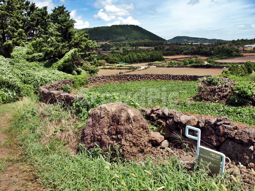 간세,제주,올레15코스,흰구름,푸른하늘,밭,자연,올레,돌담,제주도,jeju,jeju island,nature,outdoors,옥외,ground,바닥