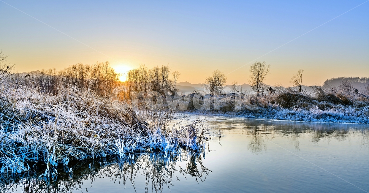 상고대,풍경,겨울,아침,일출,겨울,계절,winter,season,자연,풍경,nature,landscape,outdoors,옥외