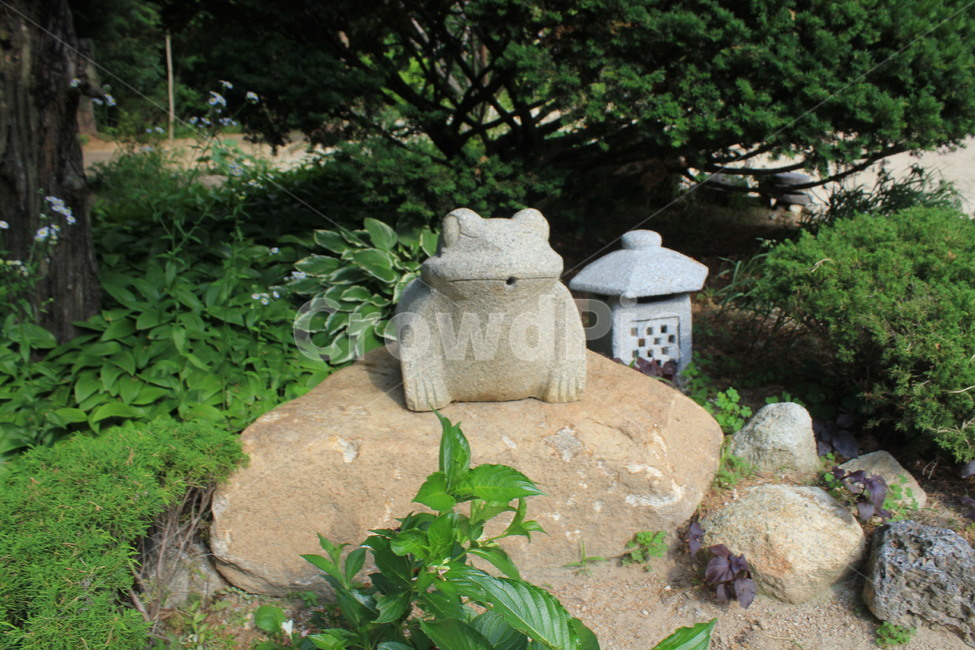 자연,삼성삼,기도,두꺼비,관악산