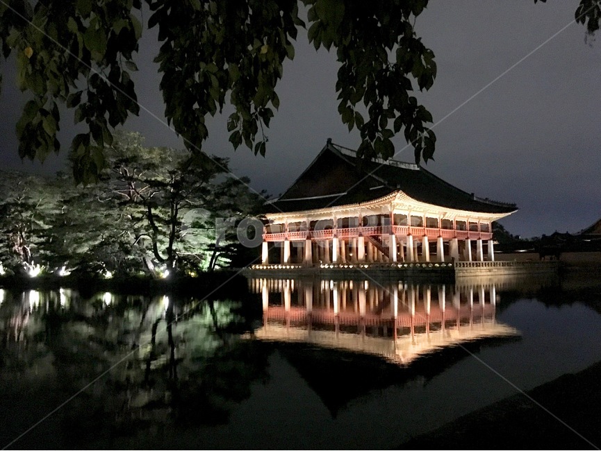 경복궁,야경,건축,고궁,비,야간경복궁,reflection,gyeongbokgung,seoul,서울,nightview,rain,construction,야경,밤,풍경,nightscape,night,landscape,한국전통,한국문화,korean traditional,korean culture,랜드마크,landmark,tourist attraction,한국랜드마크,한국관광지,한국명소,korea landmark,korea tourist attraction,building,건물,architecture,건축물