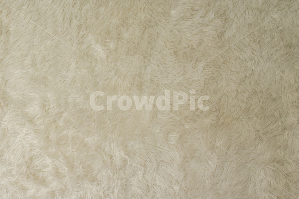 털,텍스처,배경,패턴,fur,hair,카페트,카펫,texture,background,pattern,무늬,carpet,표면,surface,아이보리,ivory,텍스처,질감,패턴,texture,pattern
