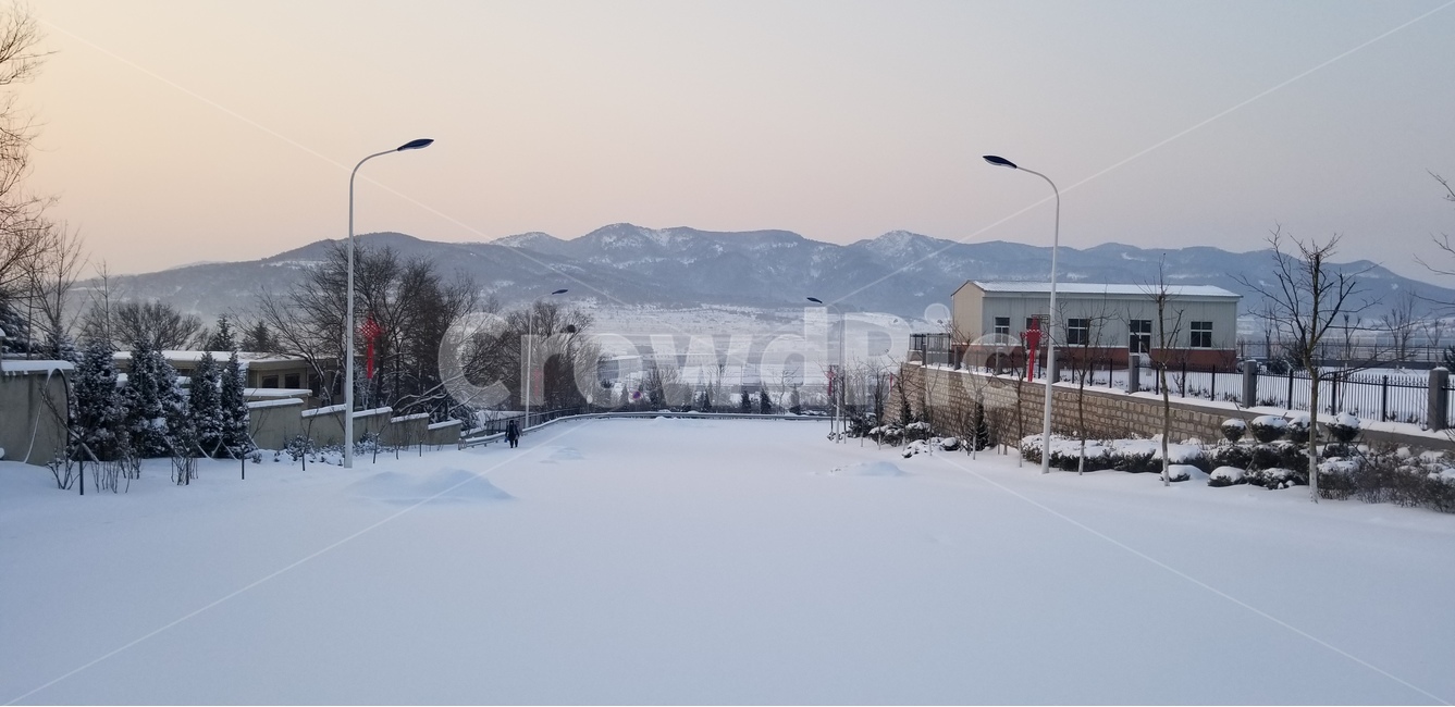 중국,위해,겨울,눈,깨끗함,겨울,계절,winter,season,자연,풍경,nature,landscape,해외,외국,세계,foreign,oversea,world,세계자연풍경,해외자연풍경,외국자연풍경,world nature landscape,outdoors,옥외,fir,전나무,tree,나무,abies,아비,plant,식물