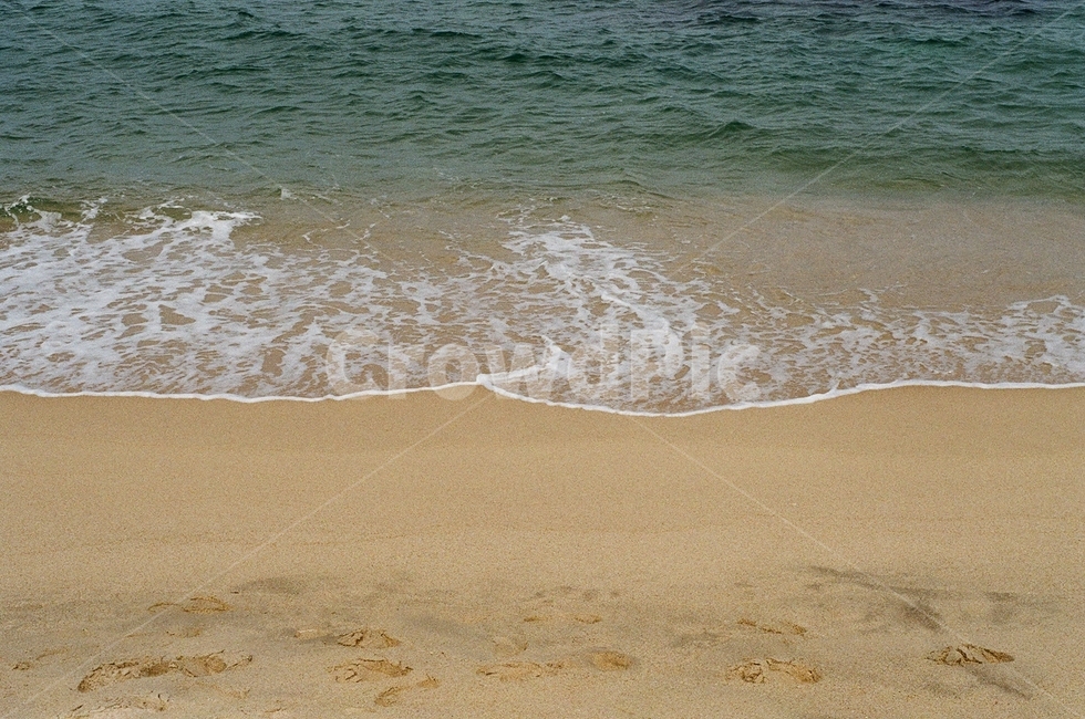 바다,강릉,모래,자연,파도,발자국,아름다운,그림같은,해변,바다,beach,sea