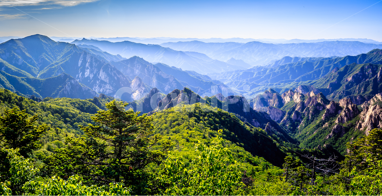여름,설악산,공룡능선,초록,서북능선,자연,풍경,nature,landscape,한국자연풍경,한국자연경관,korea nature landscape,mountain range,산맥,outdoors,옥외,mountain,산