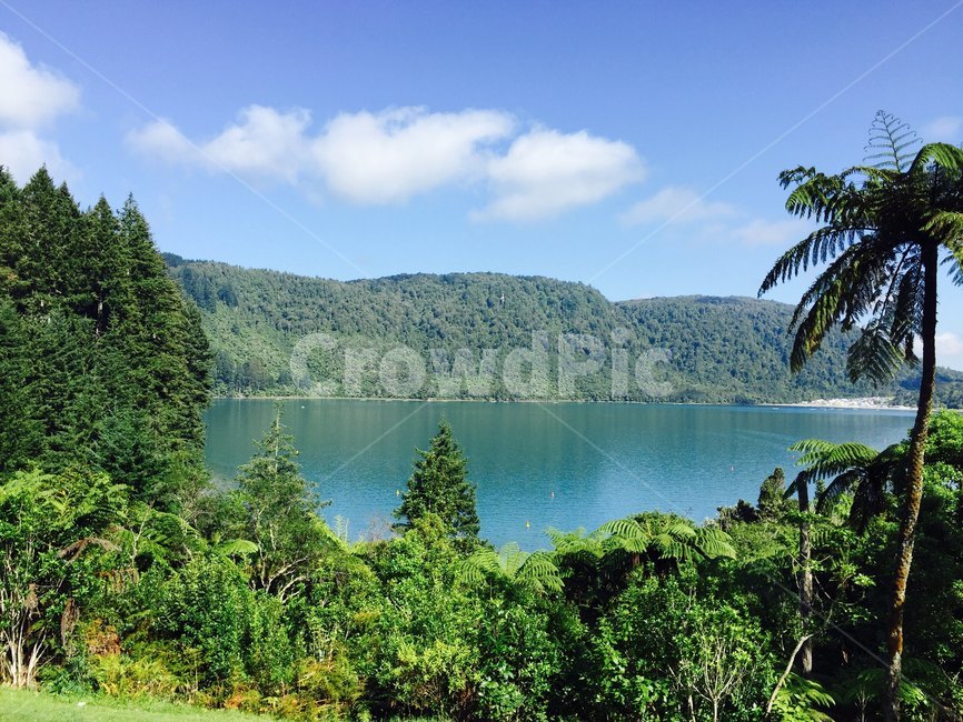 tree,나무,plant,식물,outdoors,옥외,자연,nature,숲,forest,경치,풍경,바다,landscape,sea,abroad,해외,외국,자연,풍경,nature,landscape