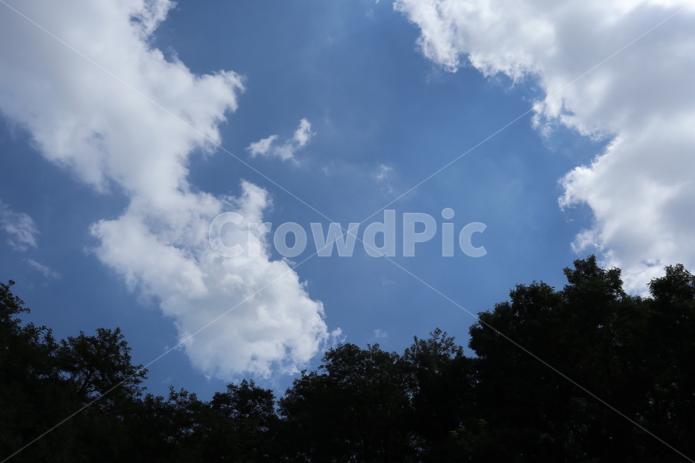 nature,자연,outdoors,옥외,적운,sky,날씨,weather,하늘,cloud,구름,자연,풍경,nature,landscape,cumulus