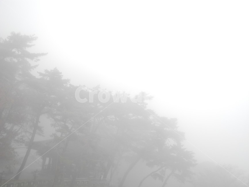 산안개,아침산사,가을산,가을산행,안개낀산,weather,날씨,nature,자연,가을,계절,fall,autumn,season