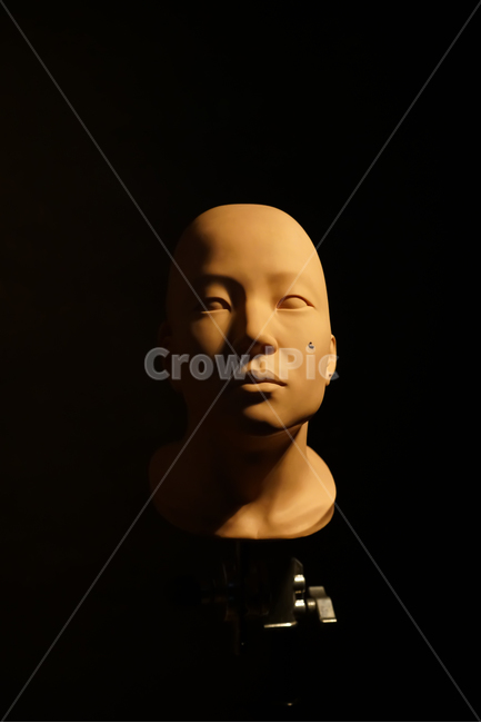 studio,shadow,Lighting example,stereoscopic effect,Lighting study,lightingexample,head,bald head,side light,dark,depressed,gloomy,self portrait,bald,man,rembrandt,cubiceffect,lightingstudy,lighting,portrait,teaching materials,face,light,teachingaids,Rembr