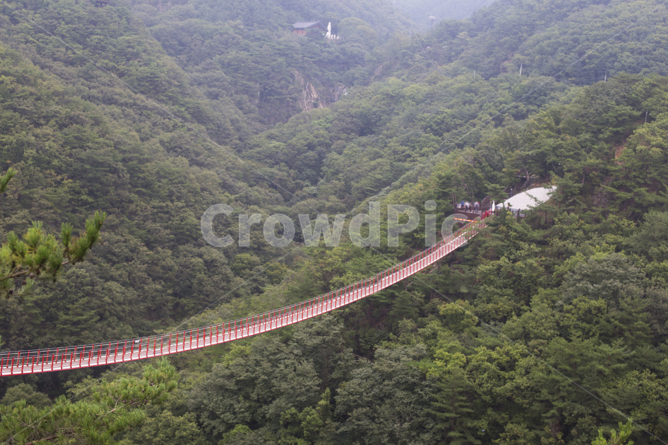 흔들다리,출렁다리,다리,산,등산,풍경,명소,자연,나무,숲,자연,풍경,nature,landscape,building,건물,bridge