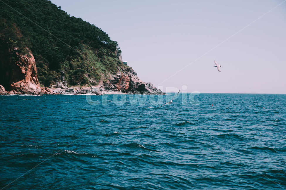 부산,바다,새,갈매기,하늘,자연,풍경,nature,landscape,한국자연풍경,한국자연경관,korea nature landscape,감성,sensible,feeling,promontory,곶,outdoors,옥외