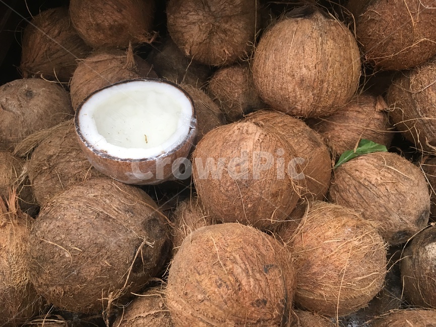 코코넛,coconut,열대,과일,fruit,가게,시장,음식,latin,tropical,market,store,shop,food,tropical,brown,과일,열매,fruit