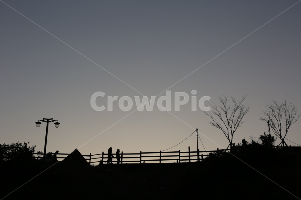 sky,silhouette landscape,dusky evening,gradient sky,shadow silhouette,eveningsky,person silhouette,tree silhouette,Evening scenery,sunset,light fixture silhouette,silhouette,walking path,nightfall,evening